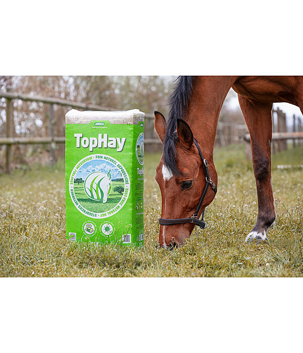 Foin  TopHay
