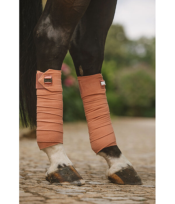 Bandes en polaire  Essential