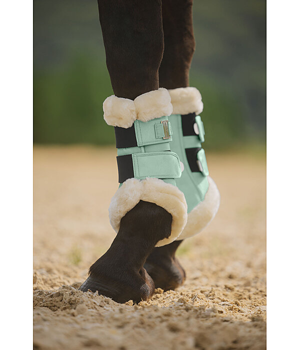 Gutres de dressage en polaire Teddy  Essential (antrieurs)