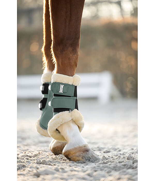 Gu�tres de dressage en polaire Teddy  Essential (ant�rieurs)