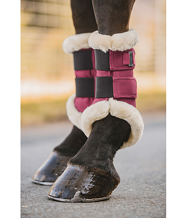 Gutres de dressage en polaire Teddy  Essential (antrieurs)