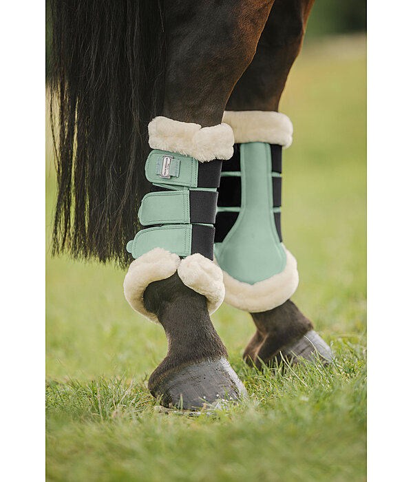 Gutres de dressage en polaire Teddy  Essential (postrieurs)