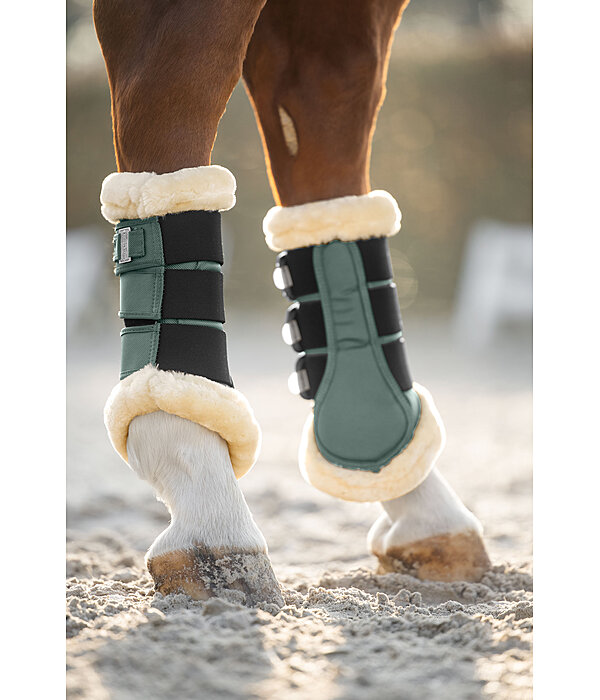 Gu�tres de dressage en polaire Teddy  Essential (post�rieurs)