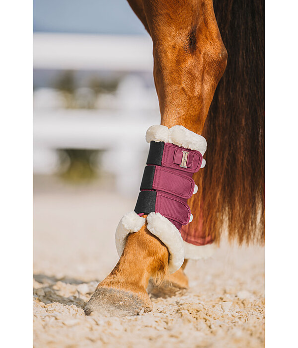 Gutres de dressage en polaire Teddy  Essential (postrieurs)