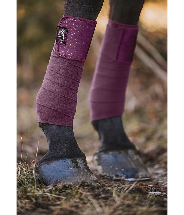 Bandes en polaire  Sparkling II