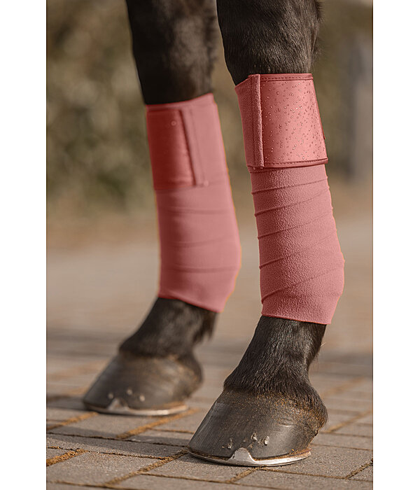 Bandes en polaire  Sparkling II