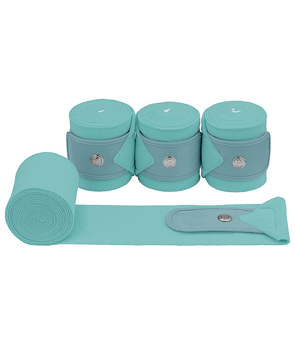 Bandes polaire  Coin