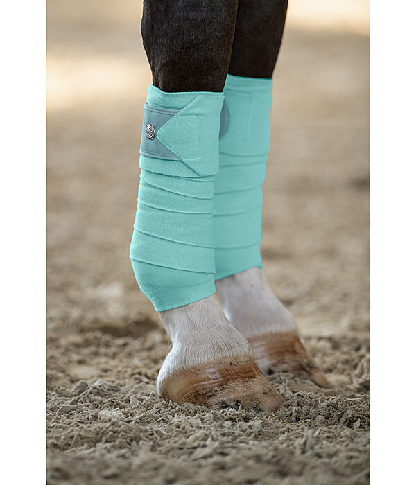Bandes polaire  Coin
