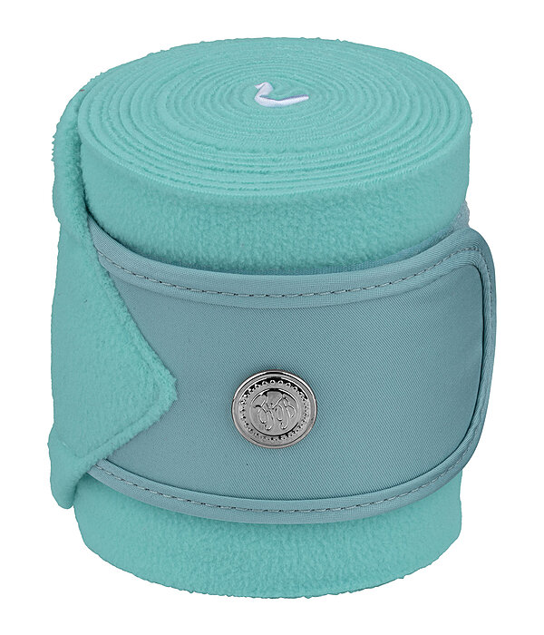 Bandes polaire  Coin