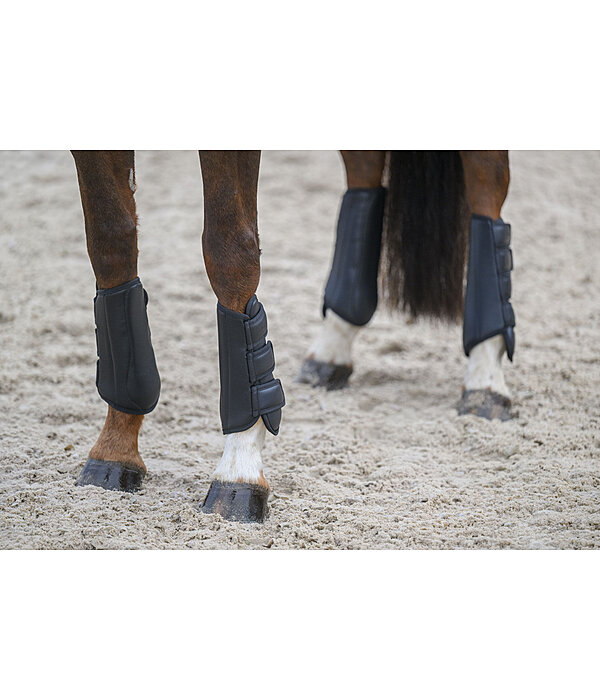 Gu�tres de dressage  All Day ant�rieurs