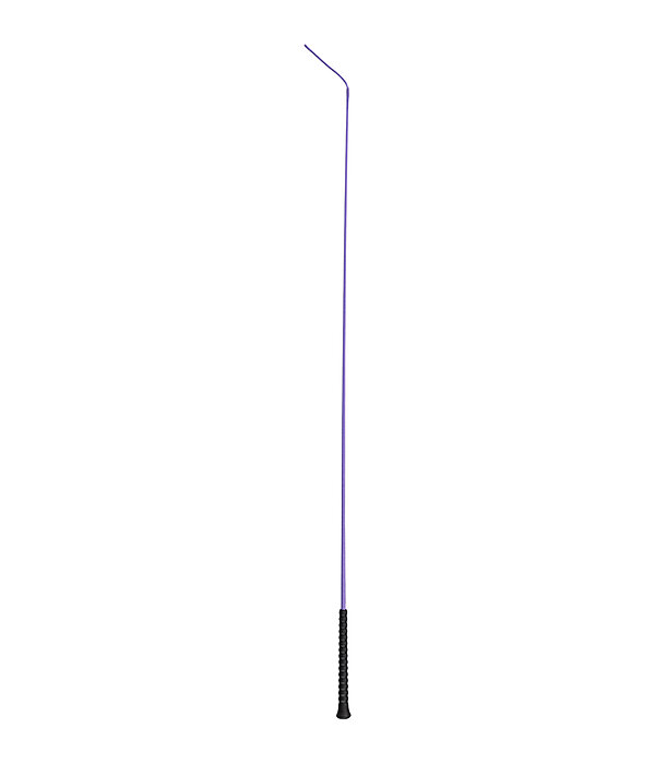 Cravache de dressage  Ergo