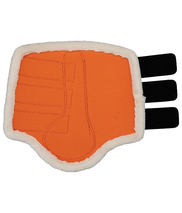 Gutres techniques pour postrieurs  Ceramic Rehab
