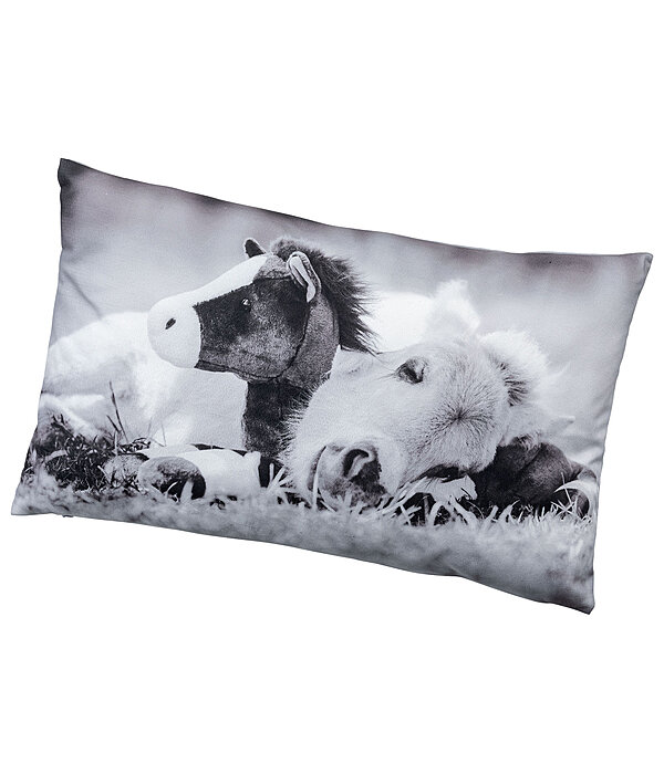 Coussin  poulain