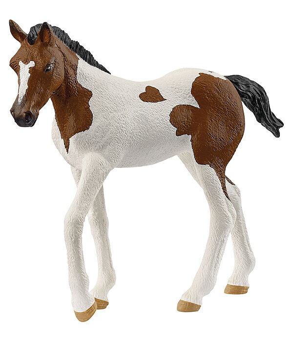 Poulain Paint Horse