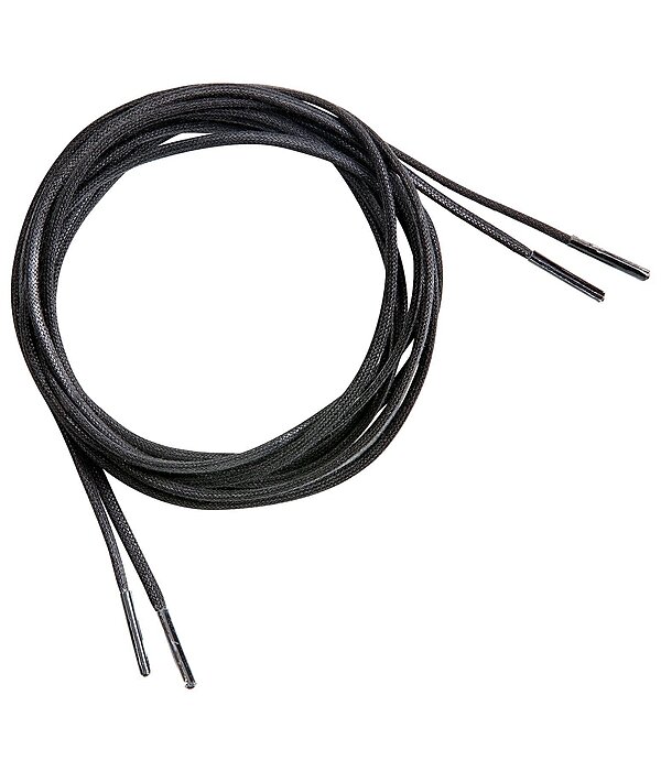 Lacets STEEDS Porto Alegre/Cute