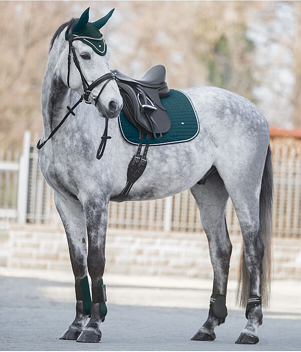 Ensemble Showmaster Basic en vert d'eau