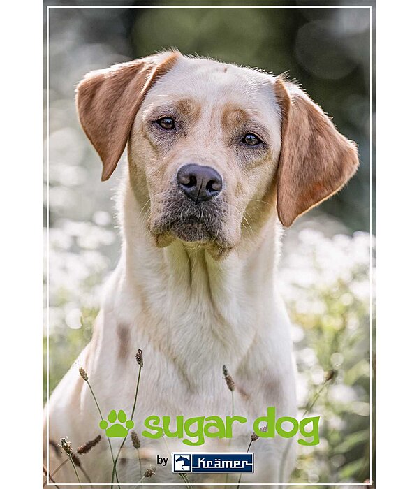 Bon cadeau  imprimer